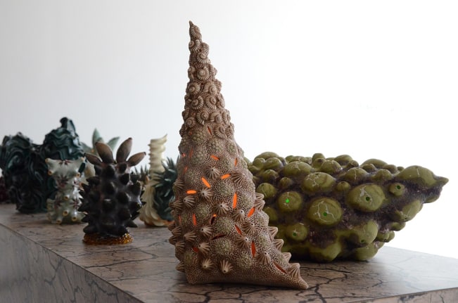 Installation view at Rhona Hoffman Gallery, Chris Garofalo, Edaphology of a Superterrestial Panmitic Population, 2015