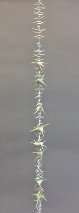 Chris Garofalo.&nbsp;valkaistu j&auml;&auml;nn&ouml;kset&nbsp;minun todellinen&nbsp;pohjoiseen (the&nbsp;bleached remains of&nbsp;my true north),&nbsp;2020. Partially glazed porcelain, glass beads, 36 x 3 x 3 inches.&nbsp;