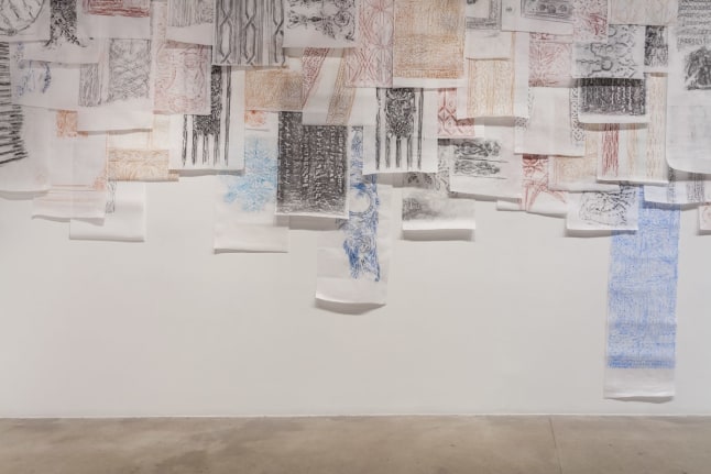 Installation view at Rhona Hoffman Gallery/Michael Rakowitz/The Flesh Is Yours, The Bones Are Ours/2016