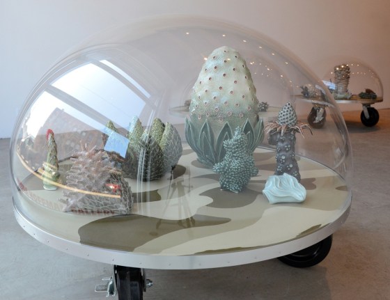 Installation view at Rhona Hoffman Gallery, Chris Garofalo, Zoophytosphere Vivaria, 2013