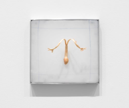 Martha Poggioli, Body Double (ES2418229B1), 2022