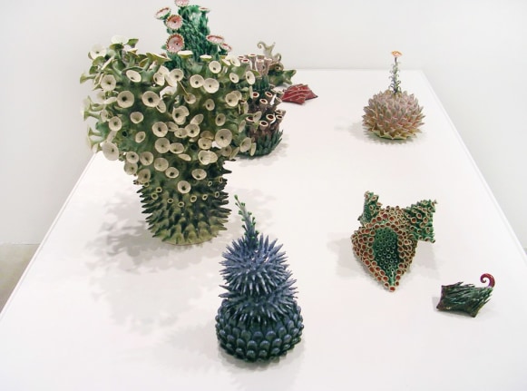 Installation view at Rhona Hoffman Gallery/Chris Garofalo/Speculative Zoogeny/2006