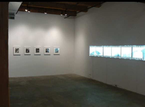 Installation view at Rhona Hoffman Gallery, Robert Heinecken, Dream/Circles/Cycles: Vintage Works 1964-1973, 2008