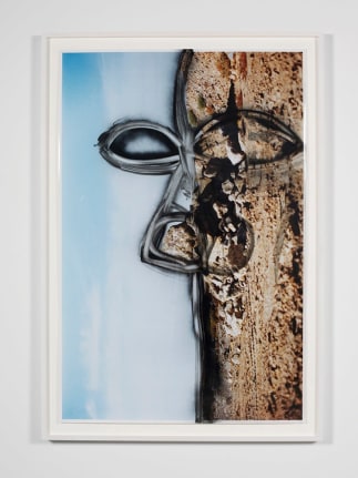 Untitled, 2011. Ink on c-print, 66.5 x 46 x 2 inches framed.