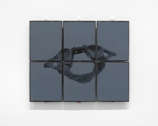 Alberto Ortega Trejo, Cuando no nos dan fiebres, nos dan dolores en los huesos (When they don&rsquo;t give us fevers, they give us pains in the bones), 2022