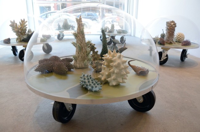 Installation view at Rhona Hoffman Gallery, Chris Garofalo, Zoophytosphere Vivaria, 2013
