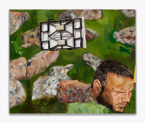 Danny Bredar, Battery Function for Lichen, 2022