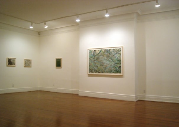 Installation view, Emi Fukuzawa: Landscape Transcended, 18 EAST 77