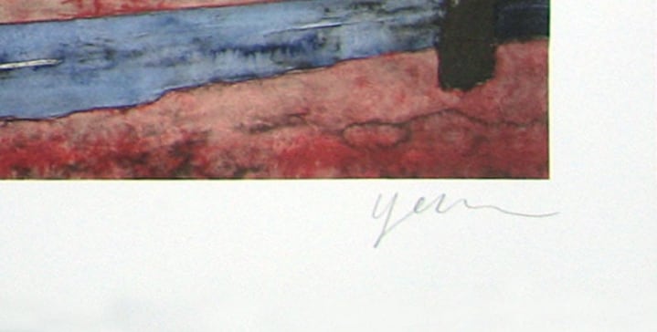 Ylva Ceder