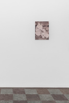 Installation view, Marjolein Rothman, Orchid, 2019