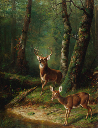 Image of sold oil painting of a stag and doe in forest by A.F. Tait.