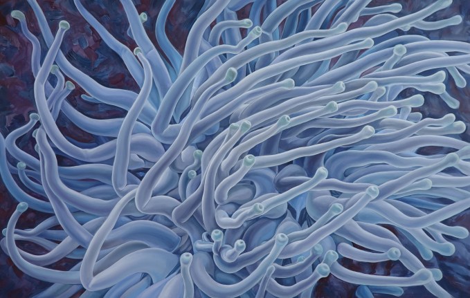 Image of Nikolina Kovalenko's painting entitled "Anemone" showing a healthy anemone in a coral bed.
