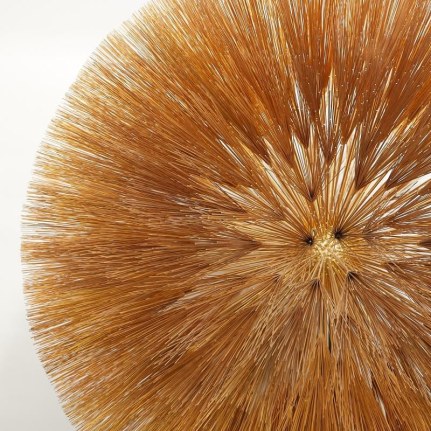 Harry Bertoia Dandelion