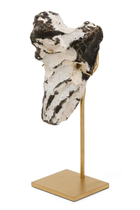 Group of Mounted Natural Sea Stone Specimens