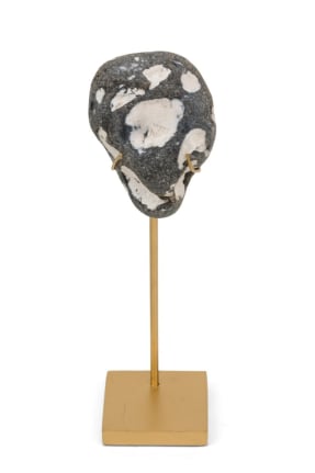Group of Mounted Natural Sea Stone Specimens
