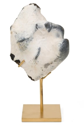 Group of Mounted Natural Sea Stone Specimens