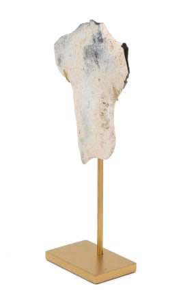 Group of Mounted Natural Sea Stone Specimens