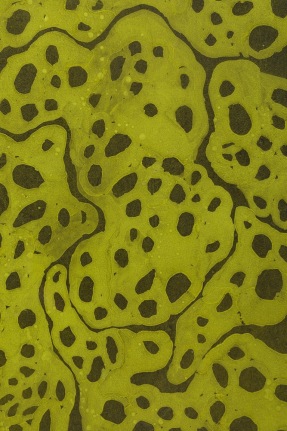 Framed Oil Painting on Board by Sara Skaaning