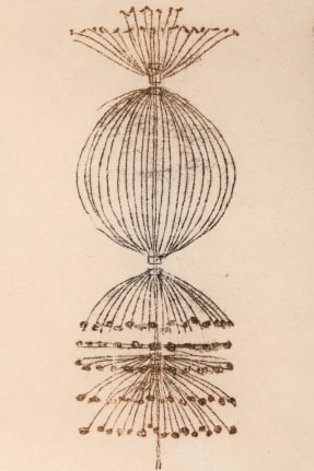 Harry Bertoia Framed Monoprint on Rice Paper