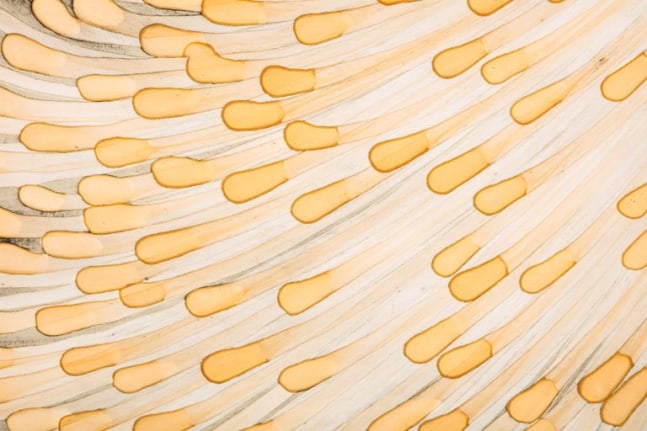 Sara Skaaning Painting on Board &quot;In There-Out There-Somewhere&quot;