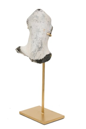 Group of Mounted Natural Sea Stone Specimens