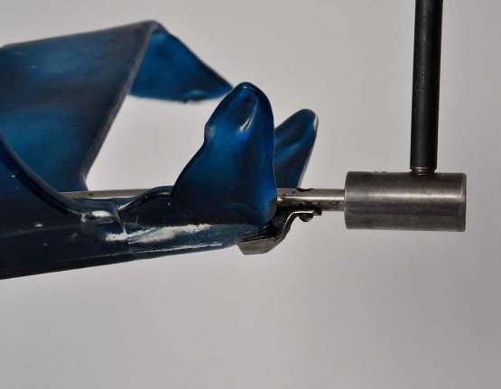 Glass Seagull Sculptures