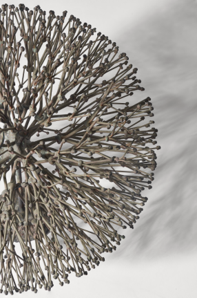 Up close, from above