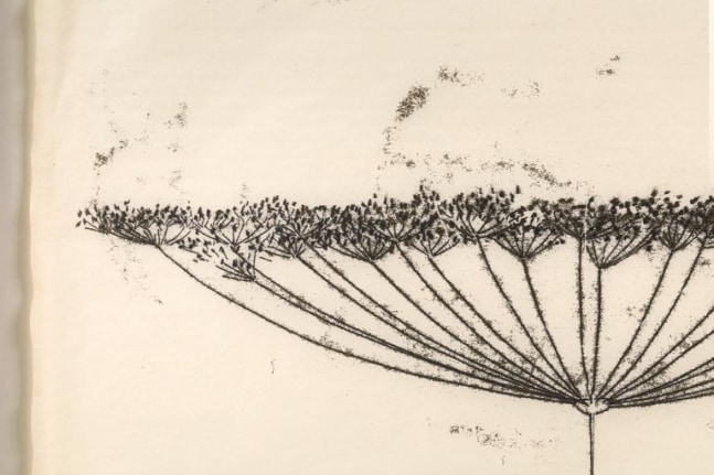 Harry Bertoia Framed Monoprint on Rice Paper