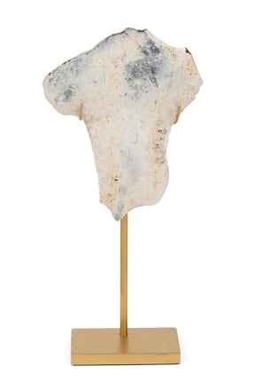 Group of Mounted Natural Sea Stone Specimens