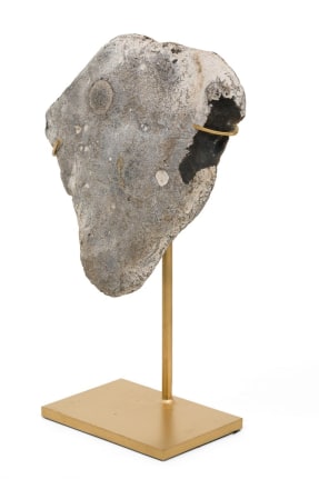 Group of Mounted Natural Sea Stone Specimens