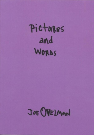 PICTURES AND WORDS book cover