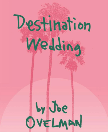 Destination Wedding book cover