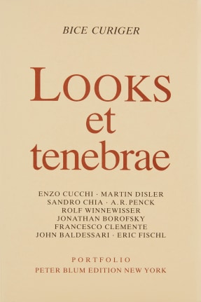 Bice Curiger, Looks et Tenebrae, 1984