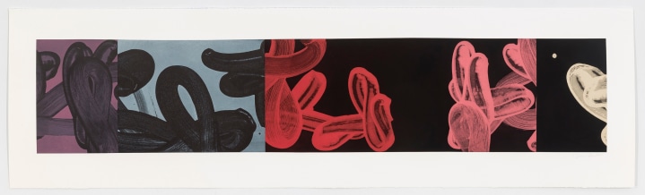 David Reed Untitled (LP 41), 2001 etching, aquatint and chine-collé on paper 11 3/4 x 58 1/2 inches (29.9 x 148.6 cm) (DRE01-01)