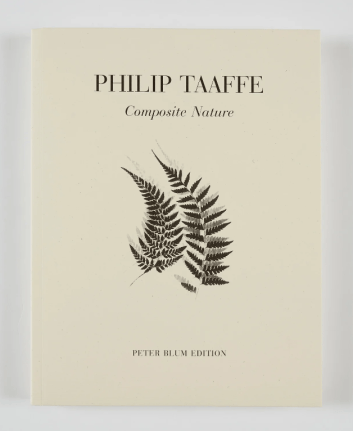 Philip Taaffe, Philip Taaffe: Composite Nature, 1998