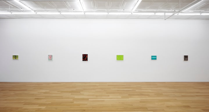 Installation view of Shifting Horizons, 2025, Peter Blum Gallery, New York, NY