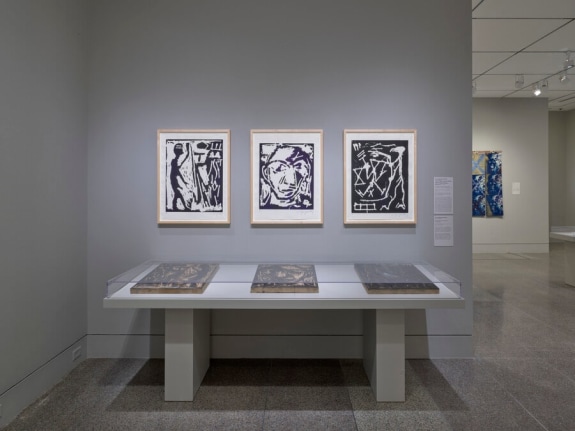 Museum of Fine Arts Houston