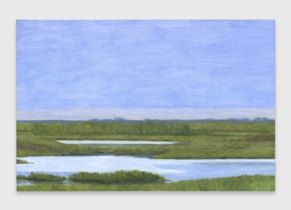 Eleanor Ray, Florida Wetlands, Dawn, 2025