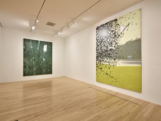 Installation view of Focus On: Alex Katz, Dallas Museum of Art, Dallas, Texas, 2019