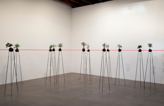 standard eye level, 2006 &ndash; 2008