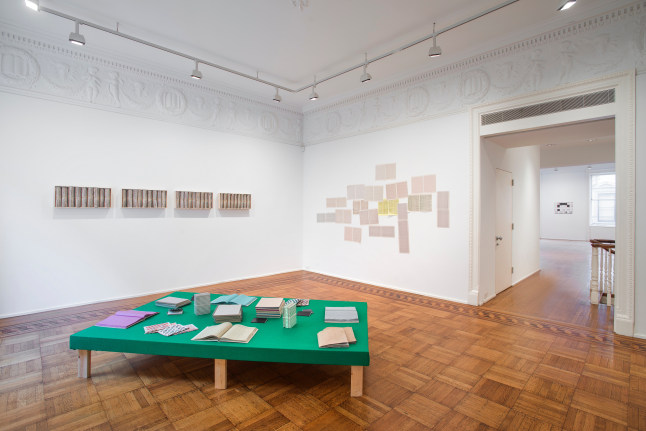 Jarbas Lopes: A Line ​Installation View