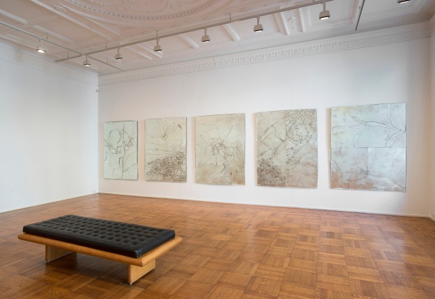 Luca Dellaverson ​Installation View