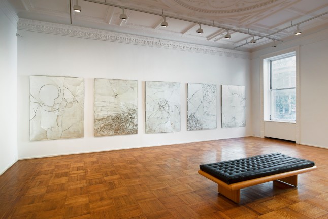 Luca Dellaverson ​Installation View