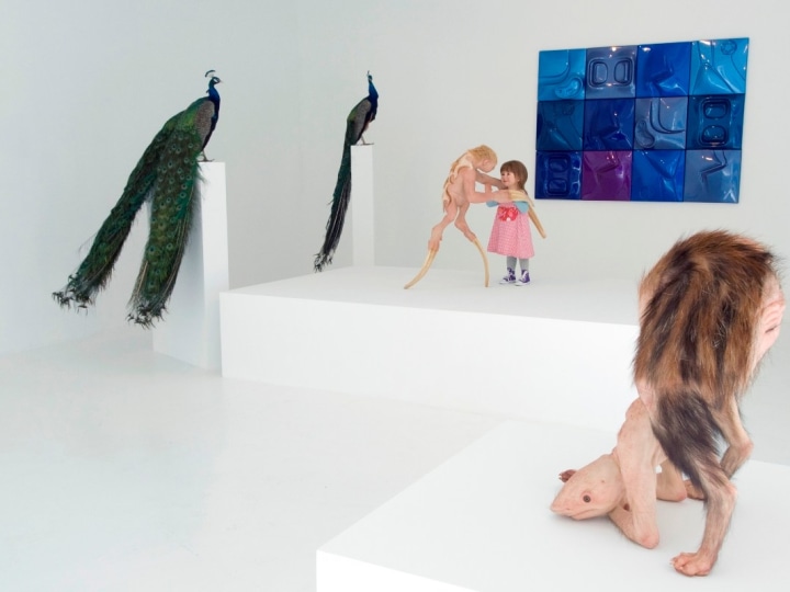 PATRICIA PICCININI The Welcome Guest 2011. Installation view: Conner Contemporary Art.
