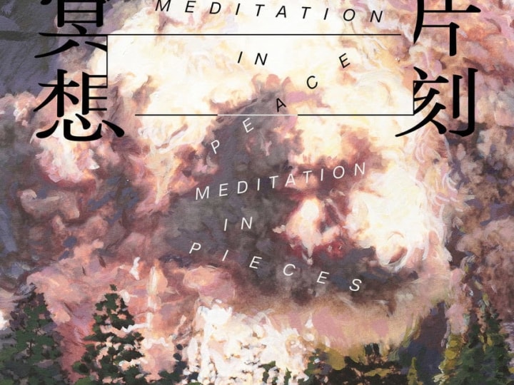 David Claerbout in Meditation in Peace. Meditation in Pieces
