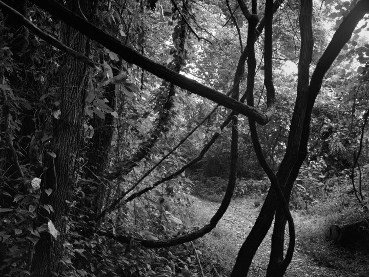 Dawoud Bey: Elegy