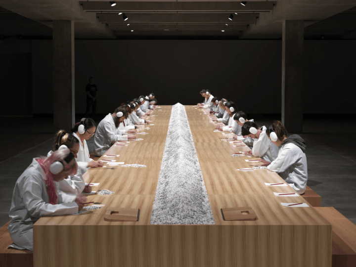 Marina Abramović: Counting the Rice