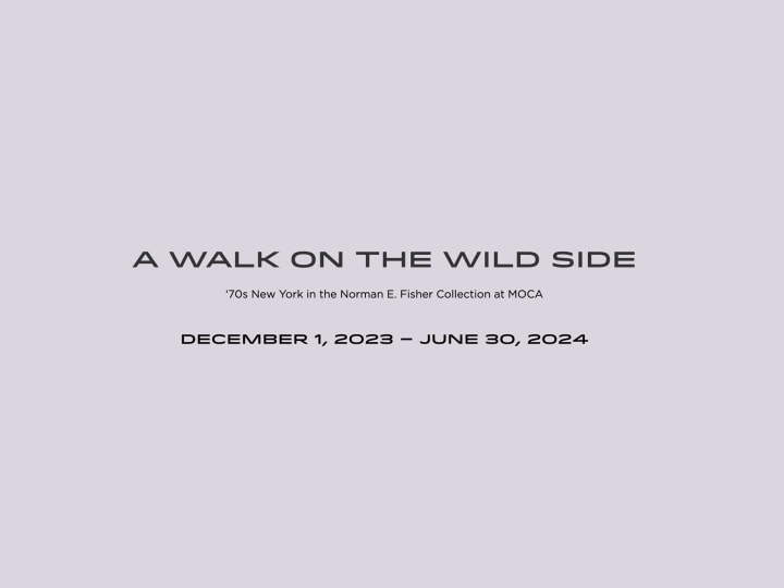 Joseph Kosuth in A Walk on the Wild Side: 70's New York in the Norman E. Fisher Collection