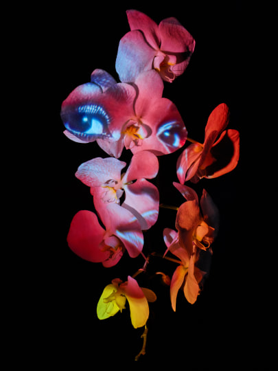 8 Must-See Solo Gallery Shows in June
