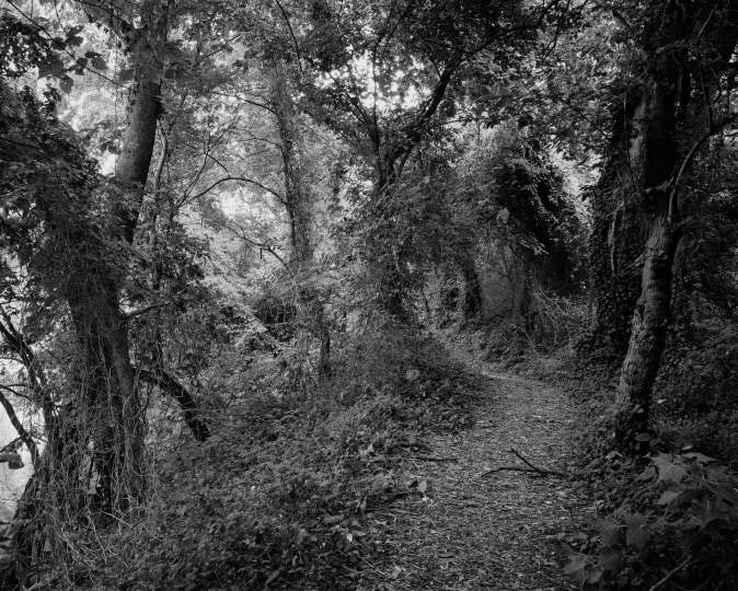 Dawoud Bey: Stony the Road